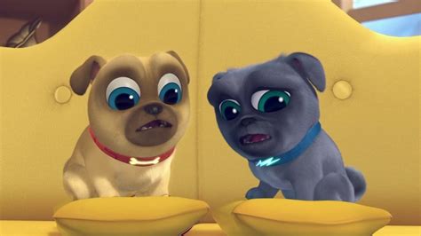 puppy dog pals 123movies